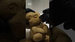 Thumbnail: Satisfying ASMR | Dirty Penguin Plushie Cleaning 🐧 #shorts