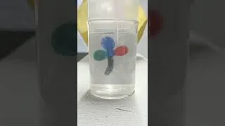 Thumbnail: Magic : Effects of Refraction of Light | Ray Optics | Beauty of Physics