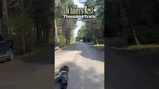 Thumbnail: One of the perks of RV living. 🌊#Shorts #RVLife #ThousandTrails #OregonCoast #BeachWalk #RVLiving