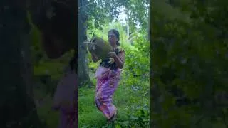 Thumbnail: Simple Jackfruit Curry |Village Life of Mali Cooking