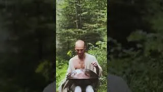 Thumbnail: Handpan Session in the depths of the Black Forest #shorts