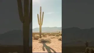 Thumbnail: Fluffy Audio + Musical Sampling | Cactus Pass | Original Score #shorts