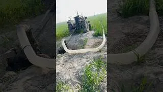 Thumbnail: Tractor water pump