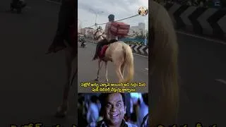 Thumbnail: గుర్రం మీద ఫుడ్ డెలివరీ చేస్తున్న అబ్బాయి#viral#food#shorts#money#success#motivation#inspiration