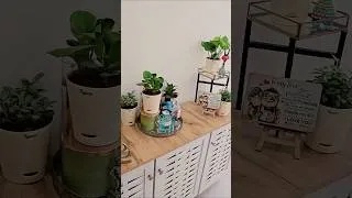 Thumbnail: Ugaoo Indoor Plants for Home Decor  | Simple Foyer Makeover