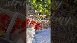 Thumbnail: A fun summer day 🍓🎀    #summer #strawberrypicking #aestheticvlog #softaesthetic