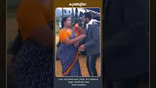 Thumbnail: Kunjaliya | Kunjaliyan #shortsfeed #shortsvideo #malayalammoviesongs  #malayalamfilmsongs