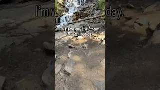 Thumbnail: Share this video with your best friend and then put your phone down. 😝  #livestream  #getoutdoors