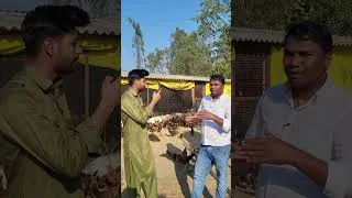 Thumbnail: sonali murgi palan #shorts
