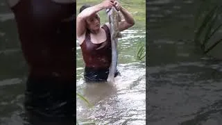 Thumbnail: How to catch big fish in nature, Đặng Thủy