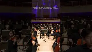 Thumbnail: [Sunrise/Amanecer] RAVEL: "Daphnis et Chloé" Suite No.2 (#shorts #360video #classicalmusic)