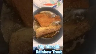 Thumbnail: Catch N Cook Big Bluegill and Rainbow Trout up next! 🎣🐟
