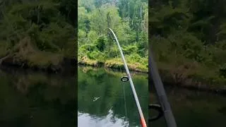 Thumbnail: Double Rainbow Trout Catch! Flying out of the water! 🎣🐟