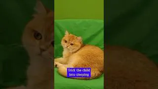Thumbnail: How I Added Mr Chips To My 3D Set
