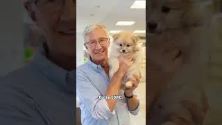Thumbnail: Pet Heroes: Paul O'Grady