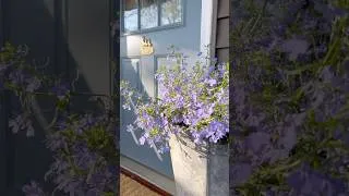 Thumbnail: Spring porch and garden refresh! #balioutdoors #porchdecor