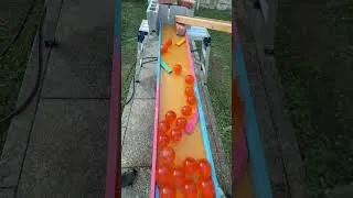 Thumbnail: Marble Run ☆ Crepe's Dragon Ball Marble Run①