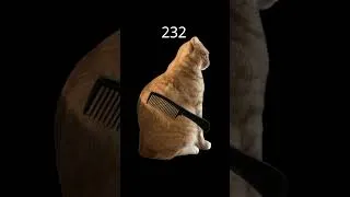 Thumbnail: NEW PB 658 #cats #filtergame #yt #fyp #shorts