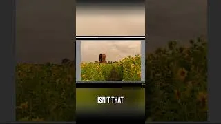 Thumbnail: Instantly Improve Clouds: The SECRET Lightroom Highlight Trick! #shorts