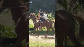 Thumbnail: #horse #maxie