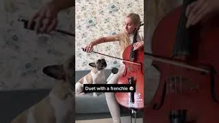 Thumbnail: Singing dog