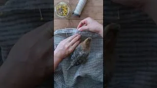 Thumbnail: Trying to sew but baby birb wants all the attention 🐥