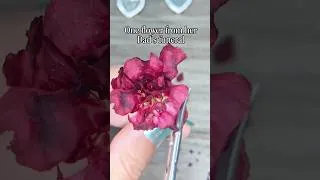 Thumbnail: One flower 2 hearts #necklace #jewelrymaking #artshorts #jewelrydesign #driedflowers #flowercraft