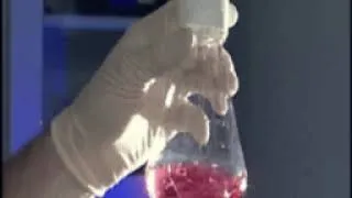 Thumbnail: St Jude Children's Research Hospital Beaker Video Footage With Dr. Jax
