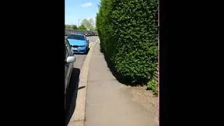 Thumbnail: Hedge across the pavement (May 2018)