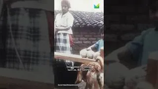Thumbnail: The Zapotec Weavers