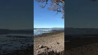 Thumbnail: Redcastle in Autumn