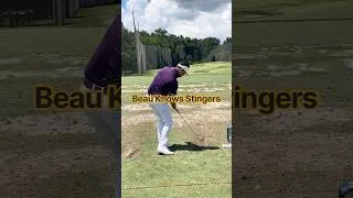 Thumbnail: Beau Knows Stingers