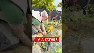Thumbnail: Day 1 becoming a fish dad