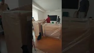 Thumbnail: Setting up my new apartment with a new couch