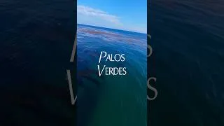 Thumbnail: Palos Verdes with the iFlight Afterburner 5 and the GoPro Mission 1 Pro