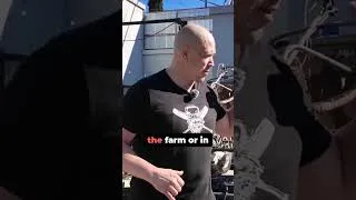 Thumbnail: Slam Ball vs Sandbag vs Kettlebell for Pickups