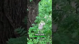 Thumbnail: Backyard Rapids! Our Path is Underwater! #shorts