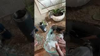 Thumbnail: My kitchen doesn't look like this by accident SUNDAY SETUP PART 1