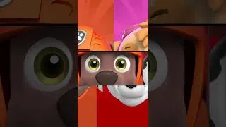 Thumbnail: Pups Matching Game! #short