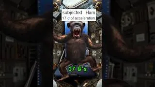 Thumbnail: Ham the Space Chimp