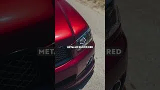 Thumbnail: This Fozzy Is CLEAN!