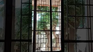 Thumbnail: where am I? guess it and comment below.
