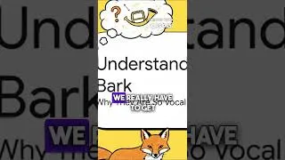 Thumbnail: FREE COURSE ON MY CHANNEL - Why Does My Jack Russell Bark So Much? why jack russells bark so much
