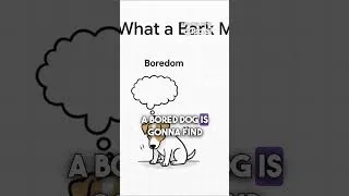 Thumbnail: 3 REASONS Your Jack Russell Terrier Barks - Get Free Course at my channel