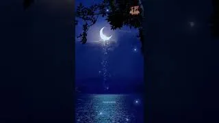 Thumbnail: Whispers in the stillness #fyp #trend #highlights #likeandsubscribe #feed #follow #followme