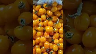 Thumbnail: TEHRAN bazaar mood in Tajrish 🫶🏻🍃