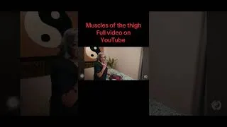 Thumbnail: Muscles of the Thigh