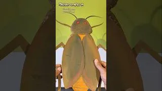Thumbnail: cockroach 3D model #ytshorts