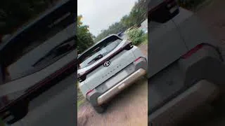 Thumbnail: Punch.Ev #shorts