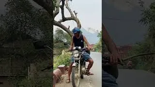 Thumbnail: The adventure of turning dead trees into works of art